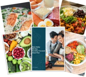 fertility meal plan