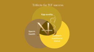 IVF success