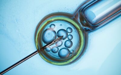 IVF-ready