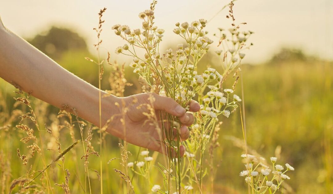 5 ways hormonal birth control affects fertility