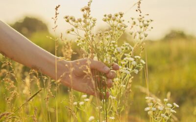 5 ways hormonal birth control affects fertility