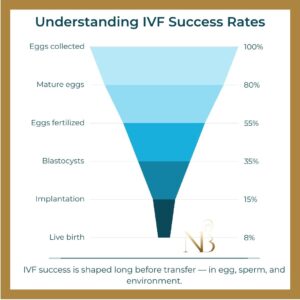 IVF attrition rates graph