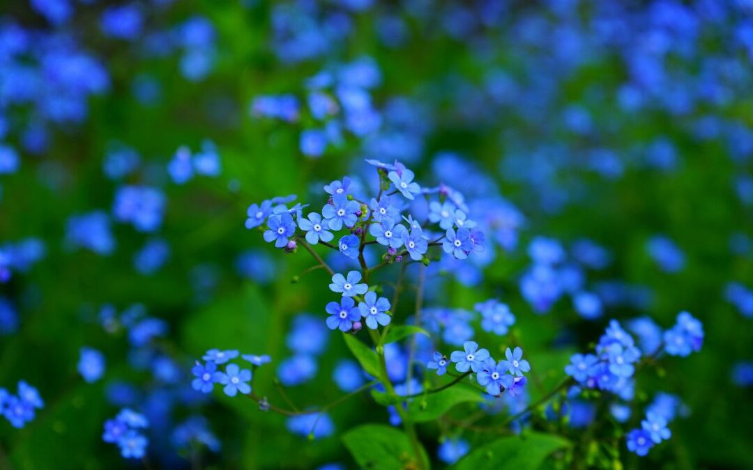 Three Miscarriage Rule