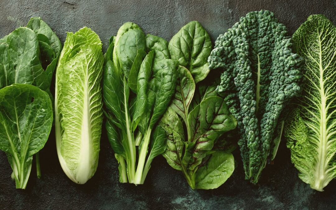 Folate and Fertility: Building the Blueprint of Life