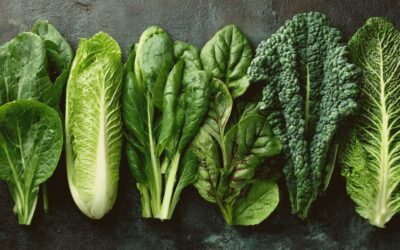 Folate and Fertility: Building the Blueprint of Life
