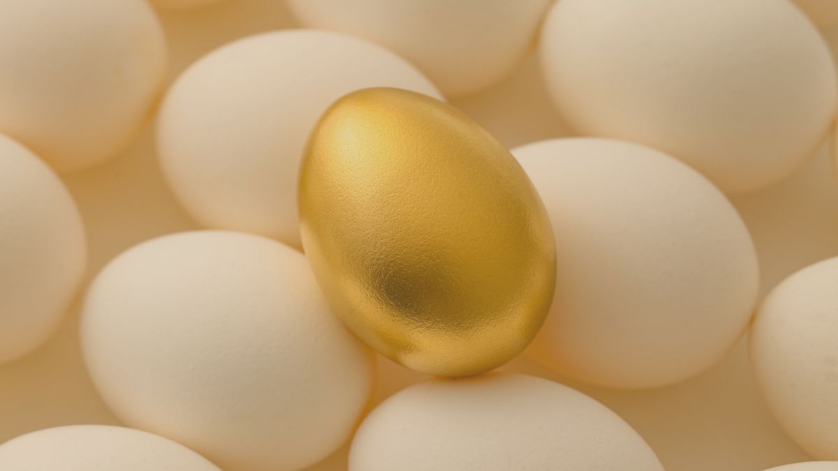 Illustration of eggs with one highlighted to represent egg reserve
