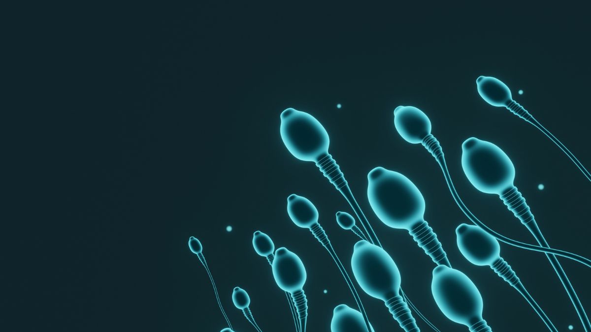 sperm health markers include ability to swim