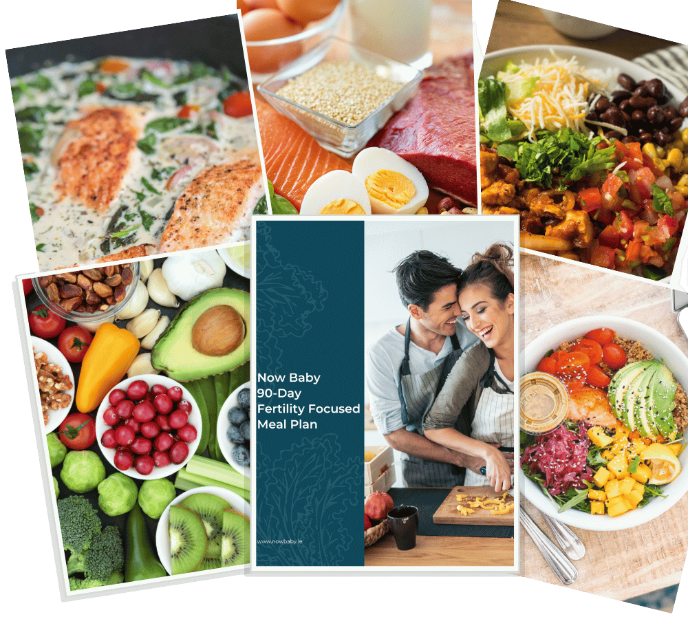 Essential Nutrient guide