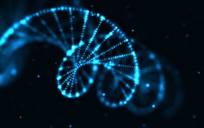 Pre implantation genetic testing IVF: What does the extra cost buy you?