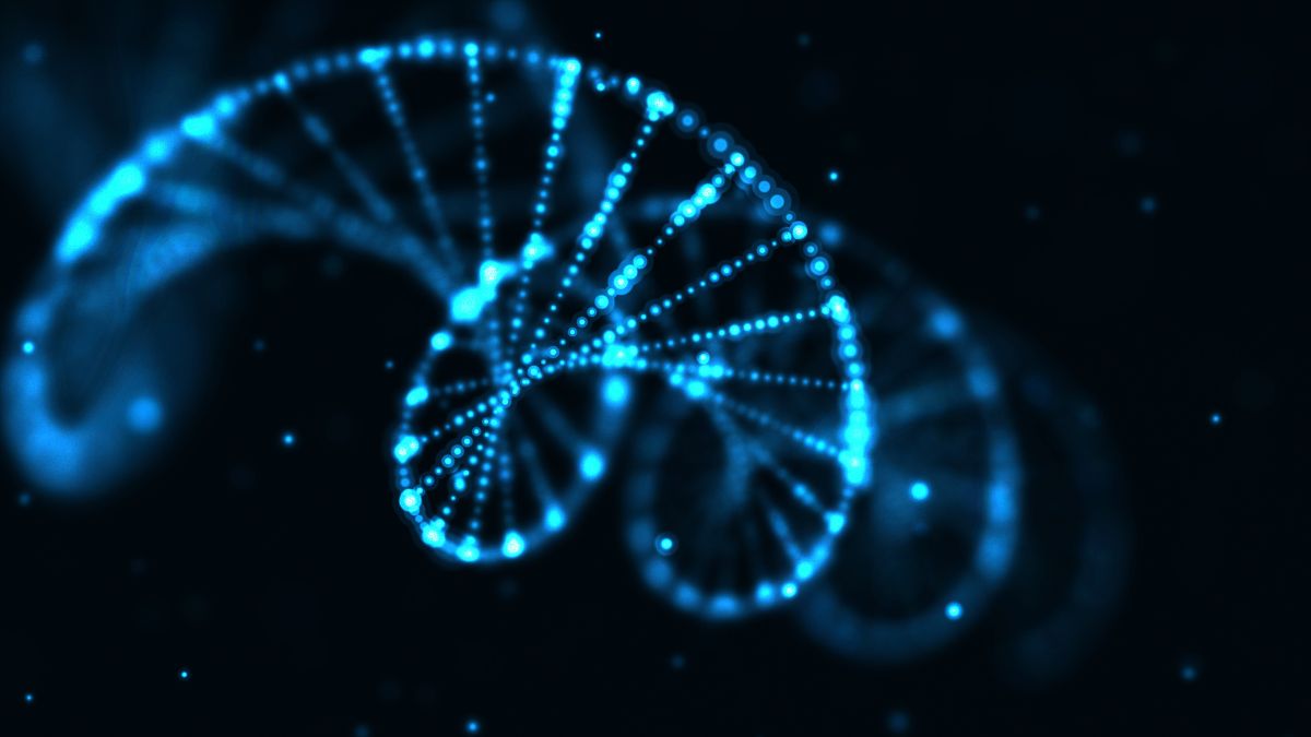 Preimplantation genetic testing IVF