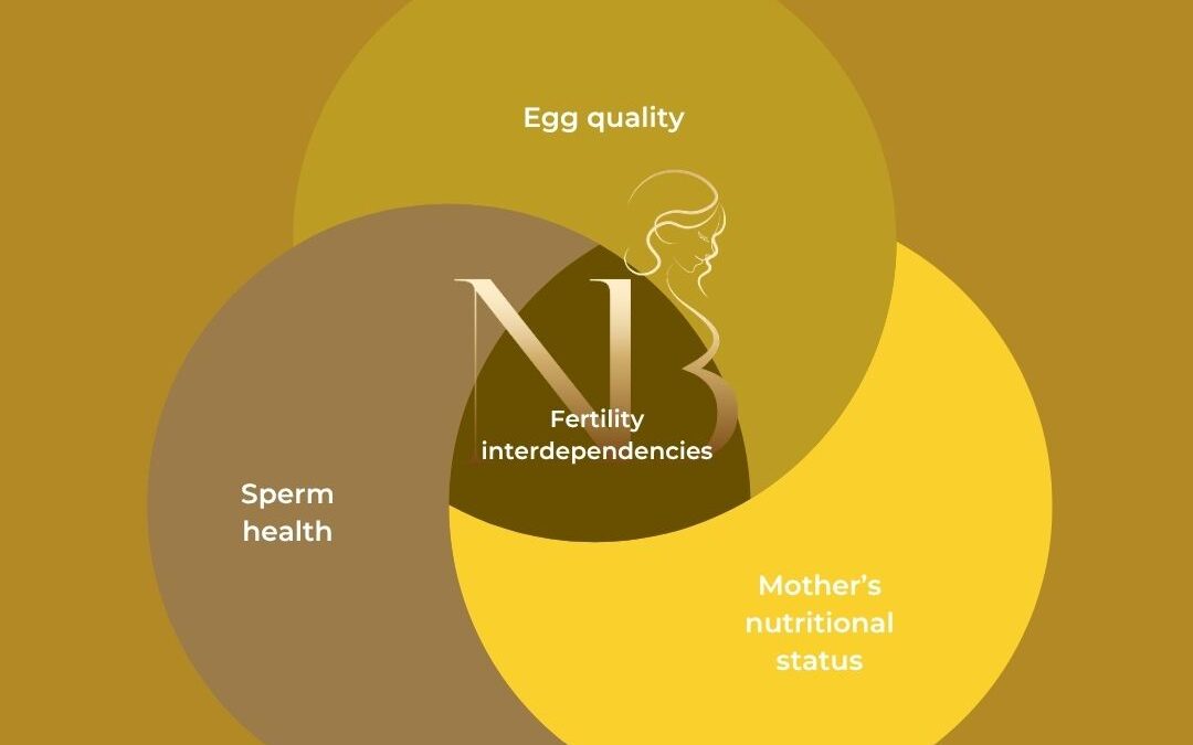 Embryo Implantation: What Determines Whether a Pregnancy Continues