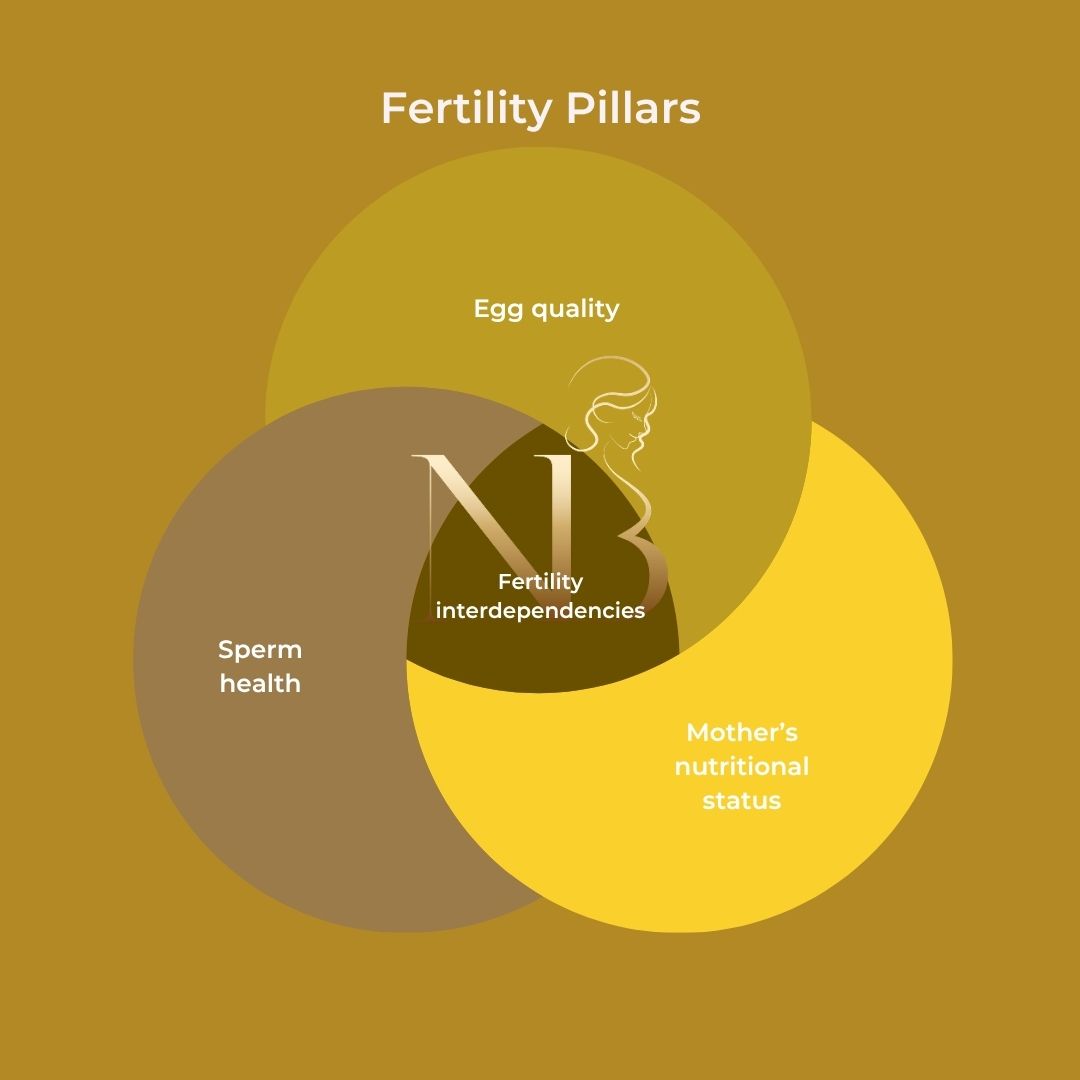 fertility interdependencies