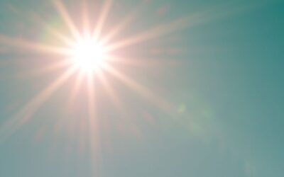 Vitamin D and Fertility: The AMH Connection