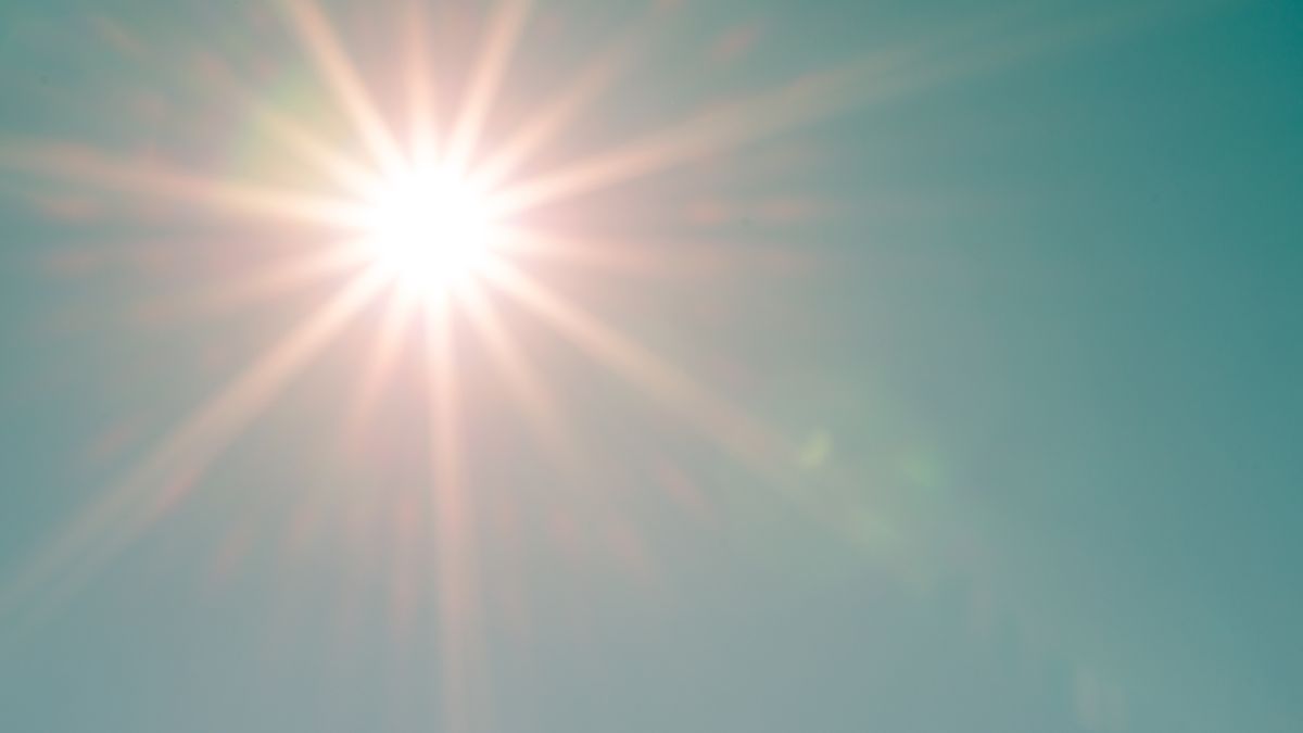 Vitamin D and Fertility