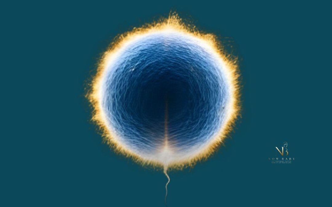 Zinc for Fertility: The Spark of Life