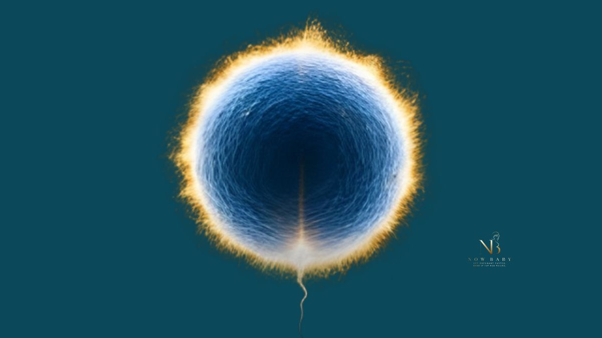 Zinc for fertility, the spark of life