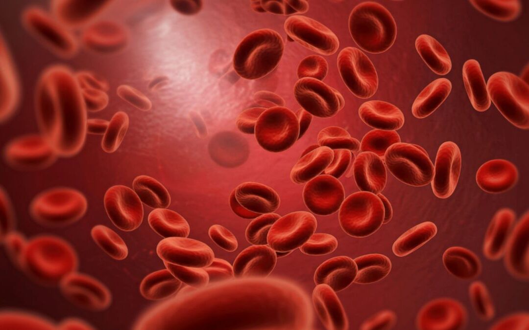 Iron and Fertility: Oxygenating Your Future Family