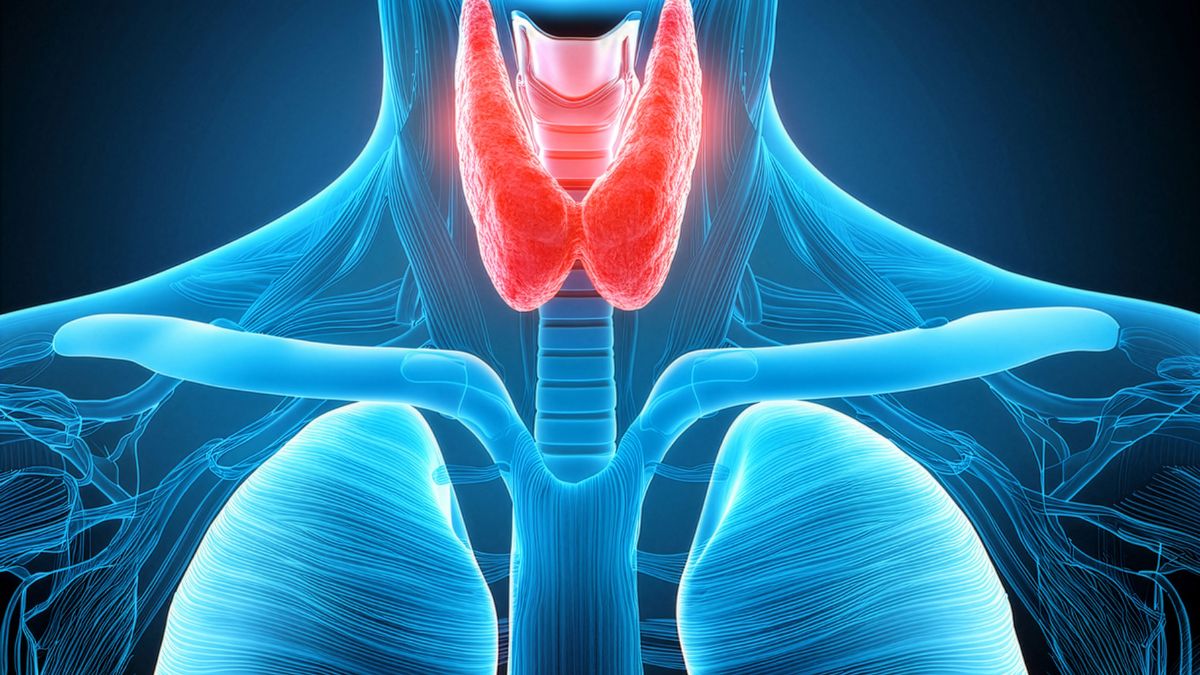 Selenium and fertility: thyroid hormones T3 and T4 support eggs, sperm and implantation