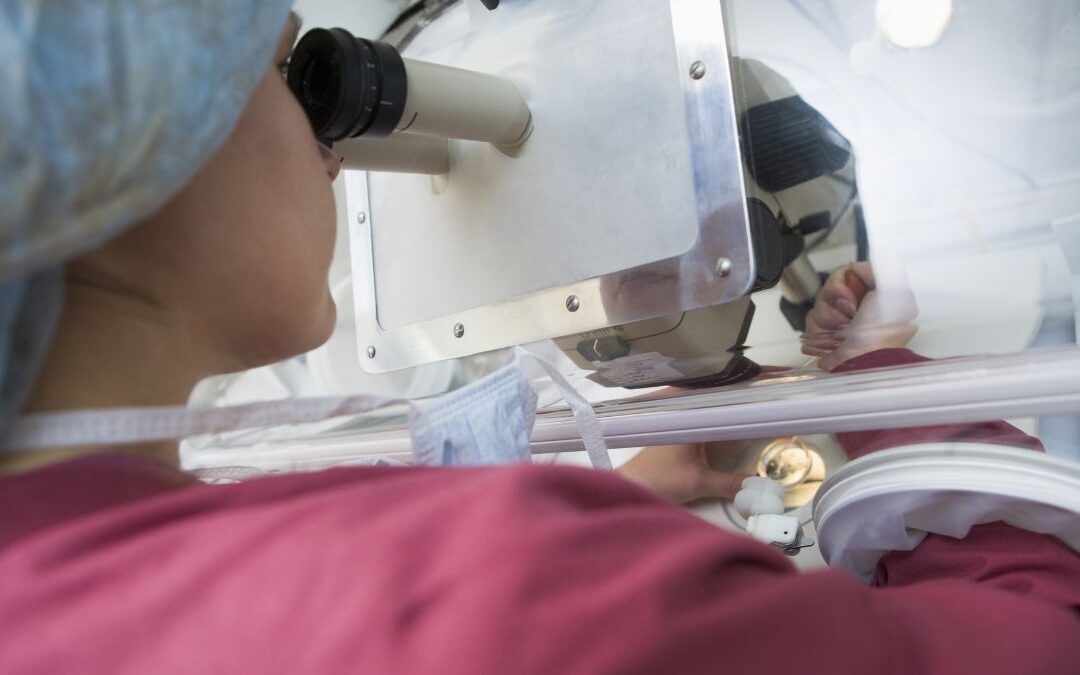 Assisted Hatching: What the Regulator Assessment Actually Shows