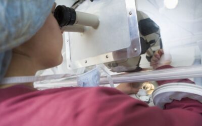 Assisted Hatching: What the Regulator Assessment Actually Shows