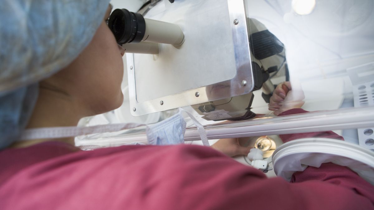 embryologist assisted hatching