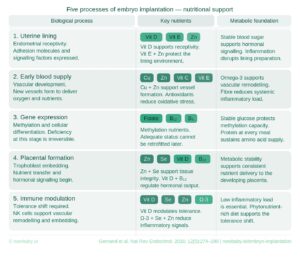 frozen embryo transfer nutrients