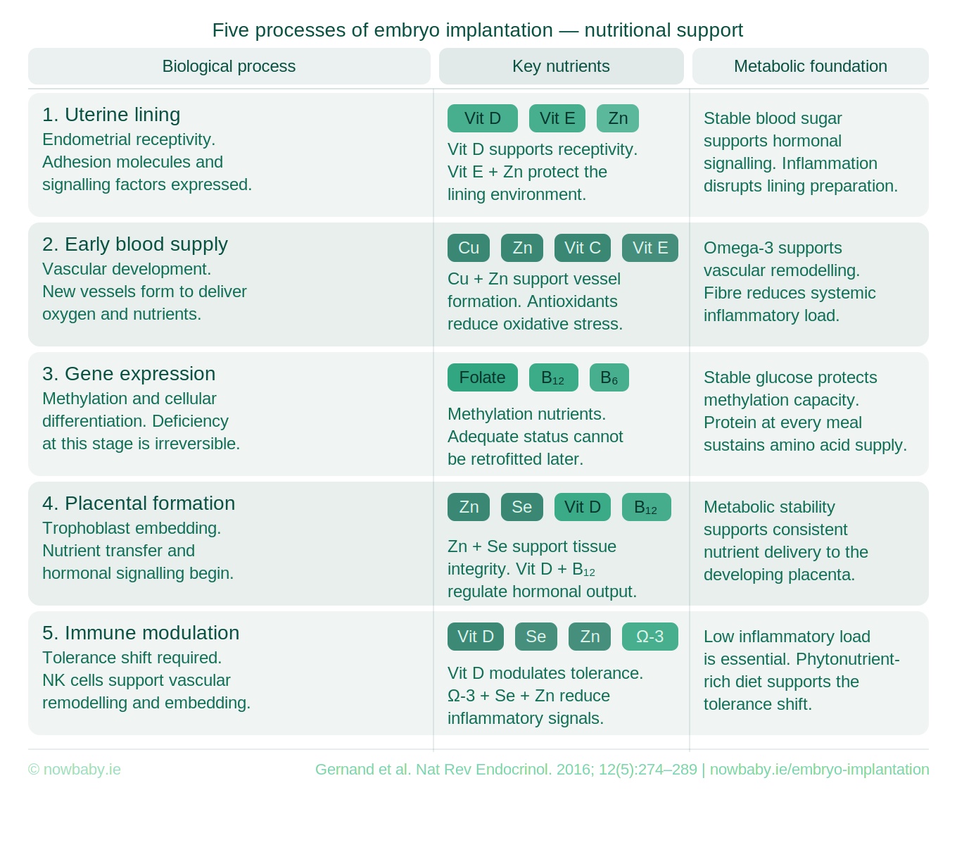 frozen embryo transfer nutrients