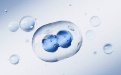 Day 5 vs Day 6 Blastocyst Success Rates