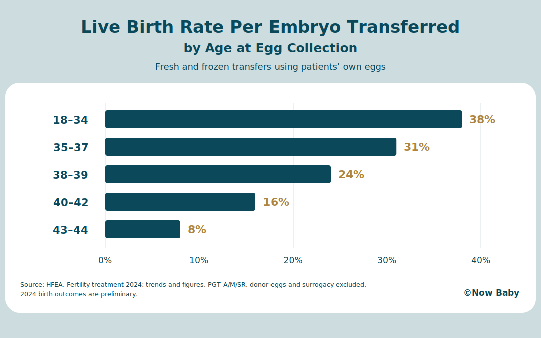 Embryo Transfer Success Rates: What Changes Your Chance of Pregnancy