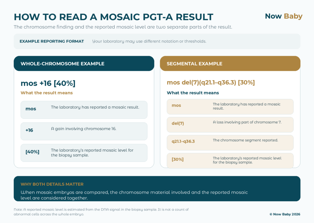 Now Baby mosaic result explained