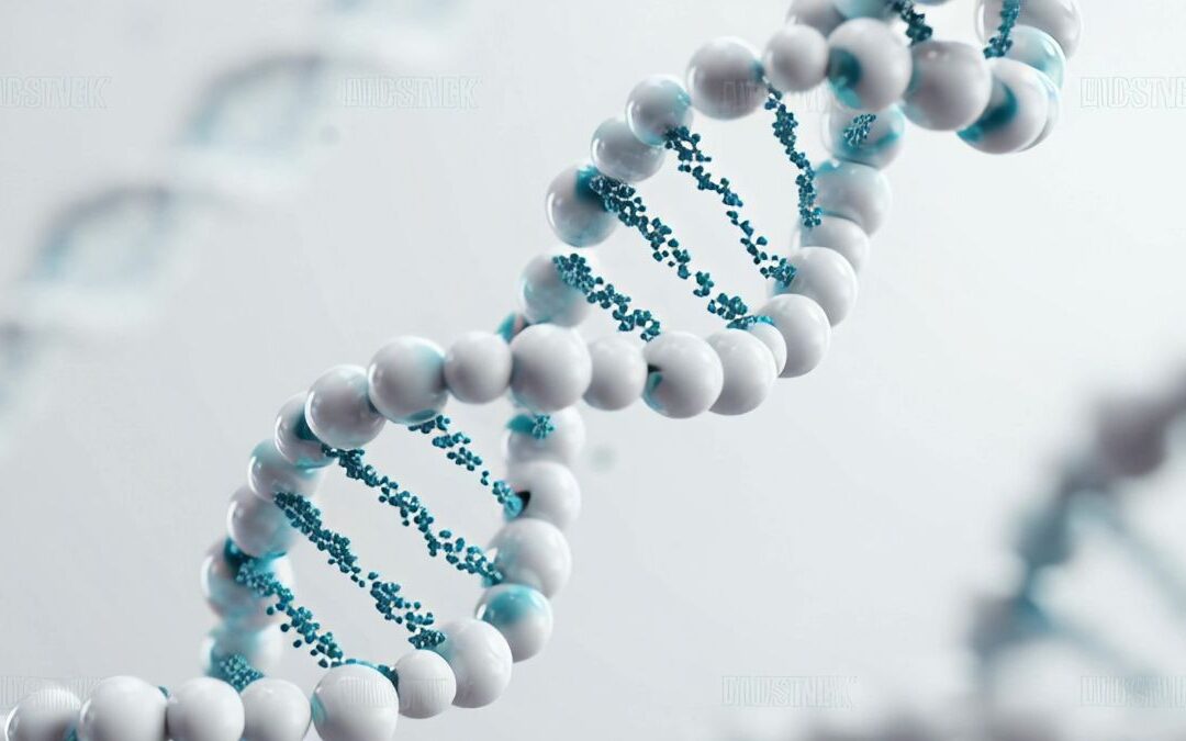 Egg Quality After 40: Why Mitochondrial Energy Matters Before Conception