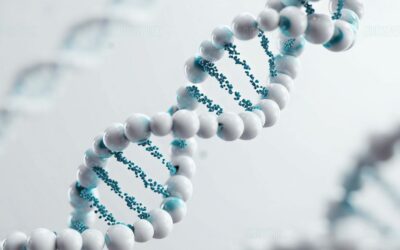 Egg Quality After 40: Why Mitochondrial Energy Matters Before Conception