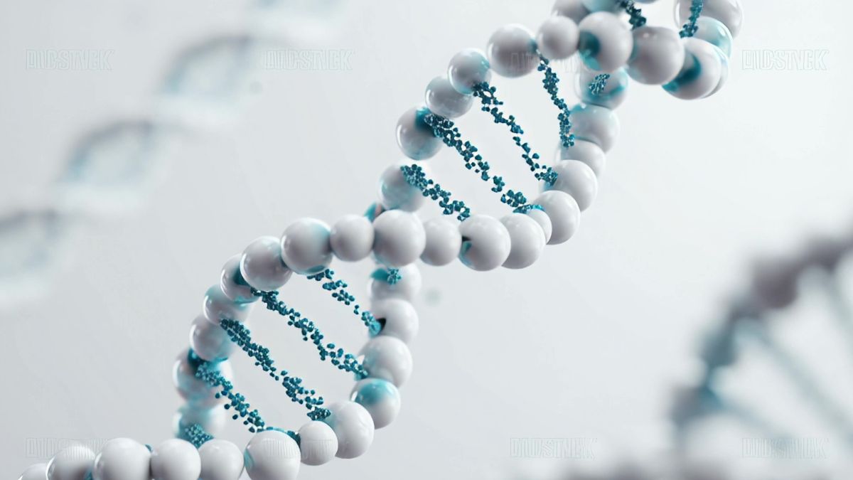 Egg quality over 40 chromosomes