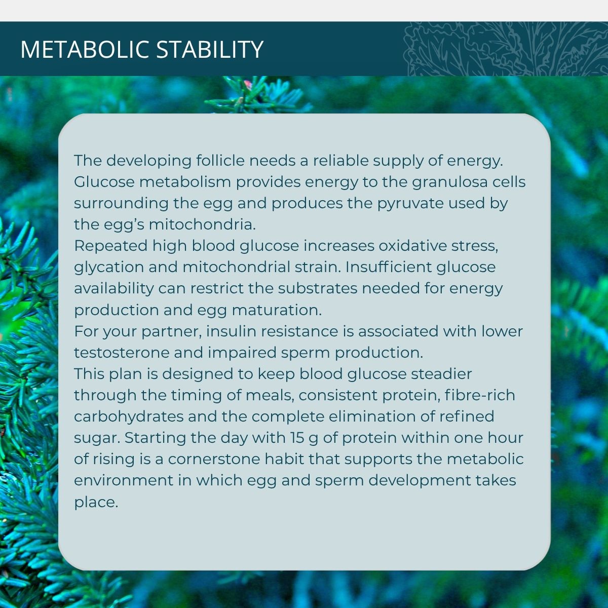 Over 40 Fertility Nutrition Protocol - Image 3